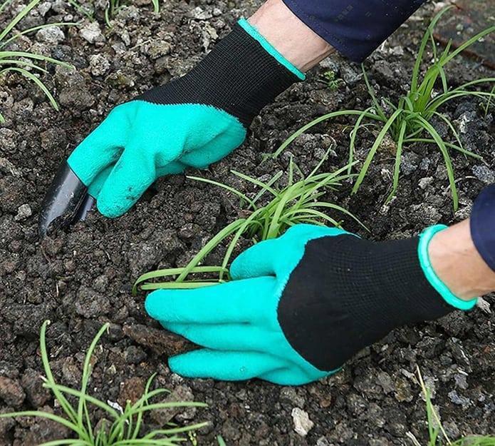 Leonora Gulin